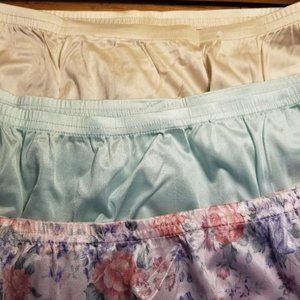 Vanity Fair Vintage Fawn/Aqua/Floral Panties 3 set/ L